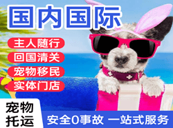 呼和浩特白塔航空货运国际宠物托运 【国